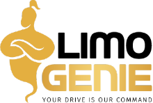 Tyche Payment Solutions